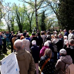 Dzień otwarty w baszcie i lapidarium przyciągnął tłumy zwiedzających!